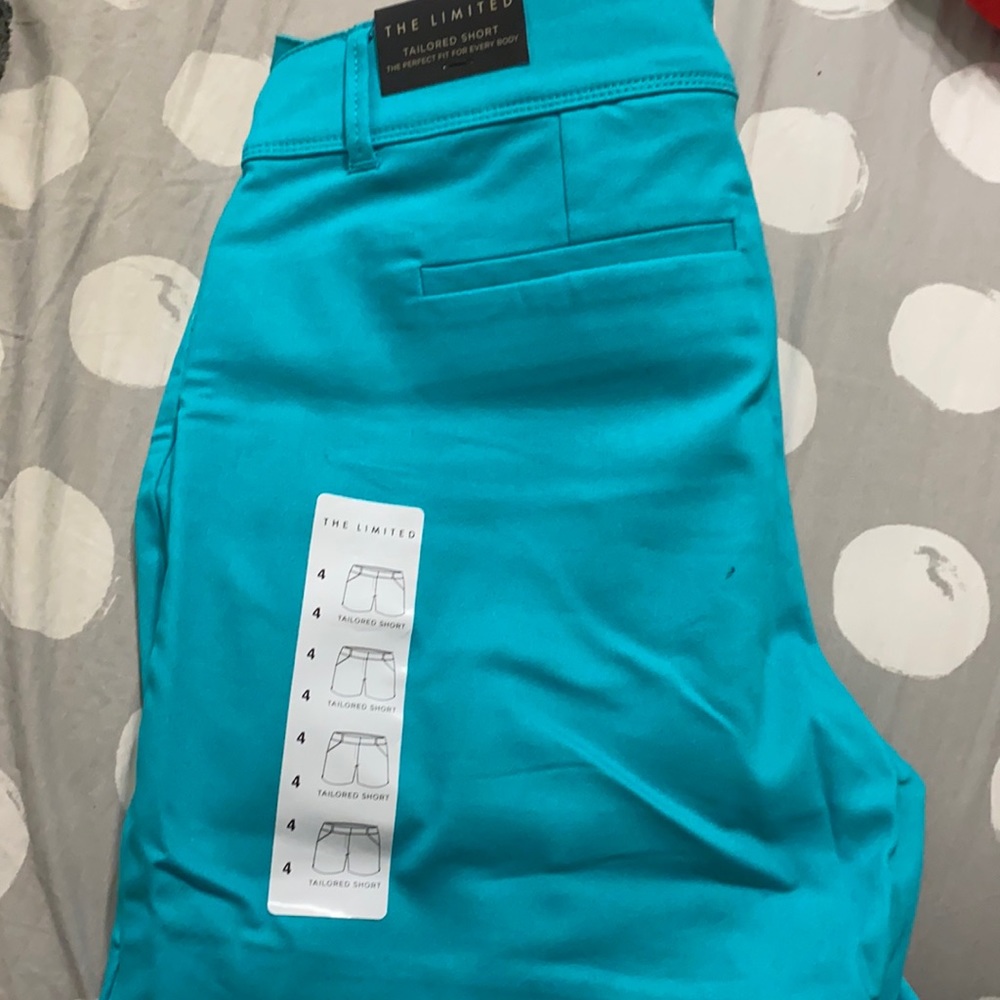 The Limited Dress Shorts